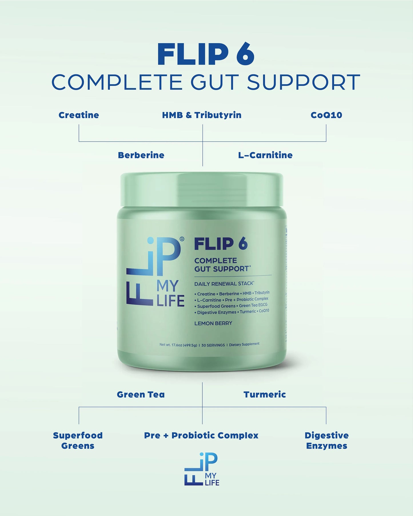 FLIP 6 Complete Gut & GLP-1 Support